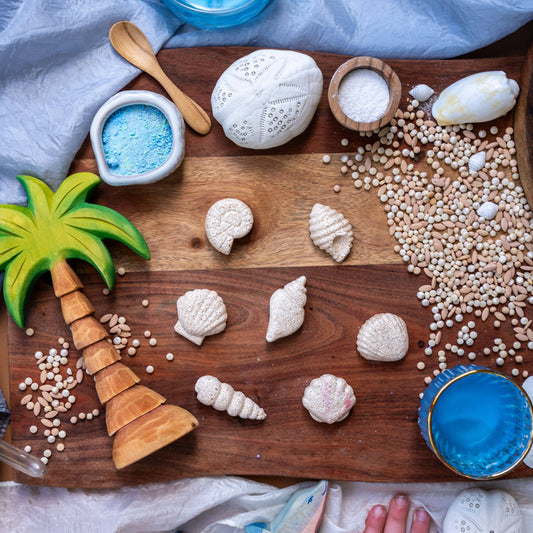 Seashell Fizzers - 7 Pack