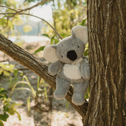 SENGER Cuddly Animal - Koala - Australian Exclusive - Removable Heat/Cool Pack