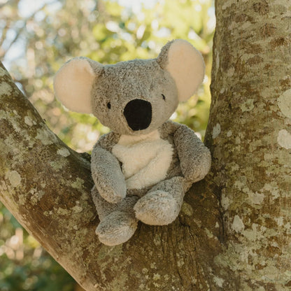 SENGER Cuddly Animal - Koala - Australian Exclusive - Removable Heat/Cool Pack
