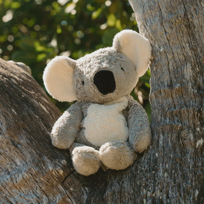 SENGER Cuddly Animal - Koala - Australian Exclusive - Removable Heat/Cool Pack